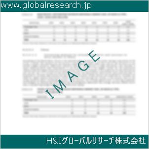 グローバルリサーチ調査資料のイメージ